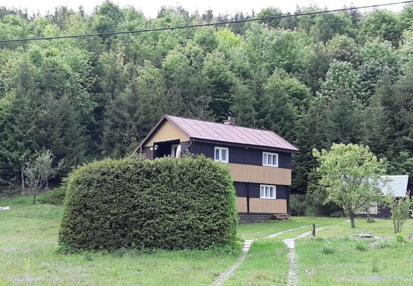 Willa Fleurs De Myto Mýto pod Ďumbierom Zewnętrze zdjęcie